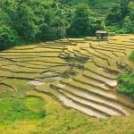 c360_2014-07-30-16-18-46-650