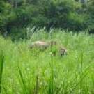 14054355_1436680086347612_500287075333336694_o