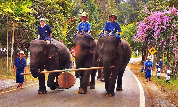 About Lampang and our private guide tours.