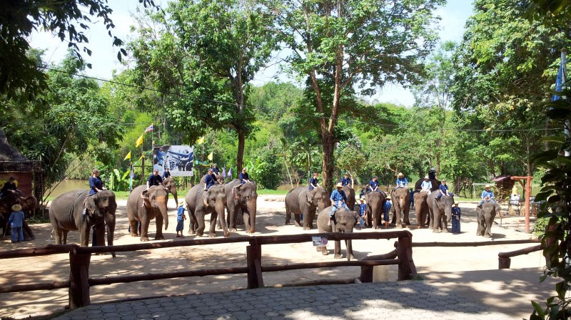 Elephant Conservation Center and Elephant hospital in Lampang