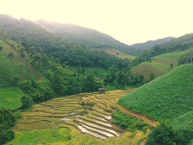 Tours to Mae Hong Son.